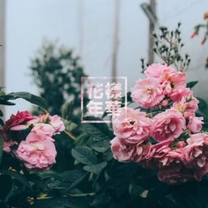 Meet your Posher, Karina